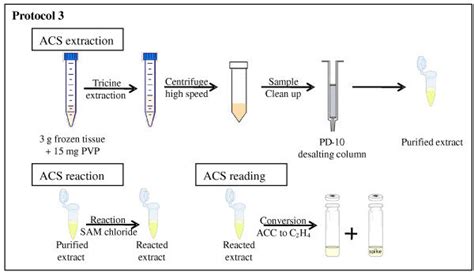 Use this column for rapid purity check and screening of proteins with molecular weights between Mr 3,000 and 70,000, such as recombinant tagged proteins. . Pd10 column principle